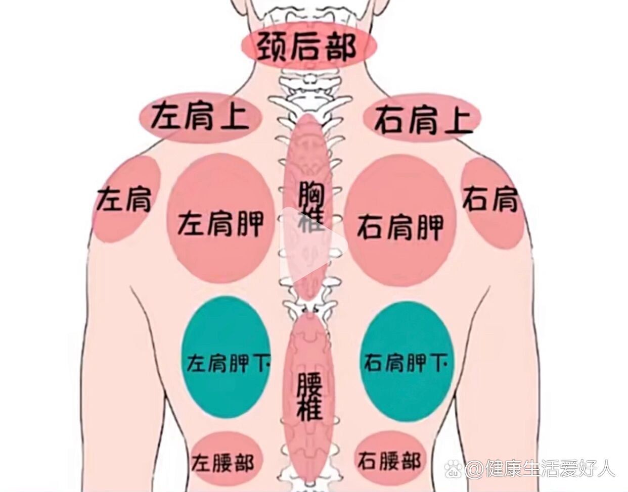 左边后背疼图片