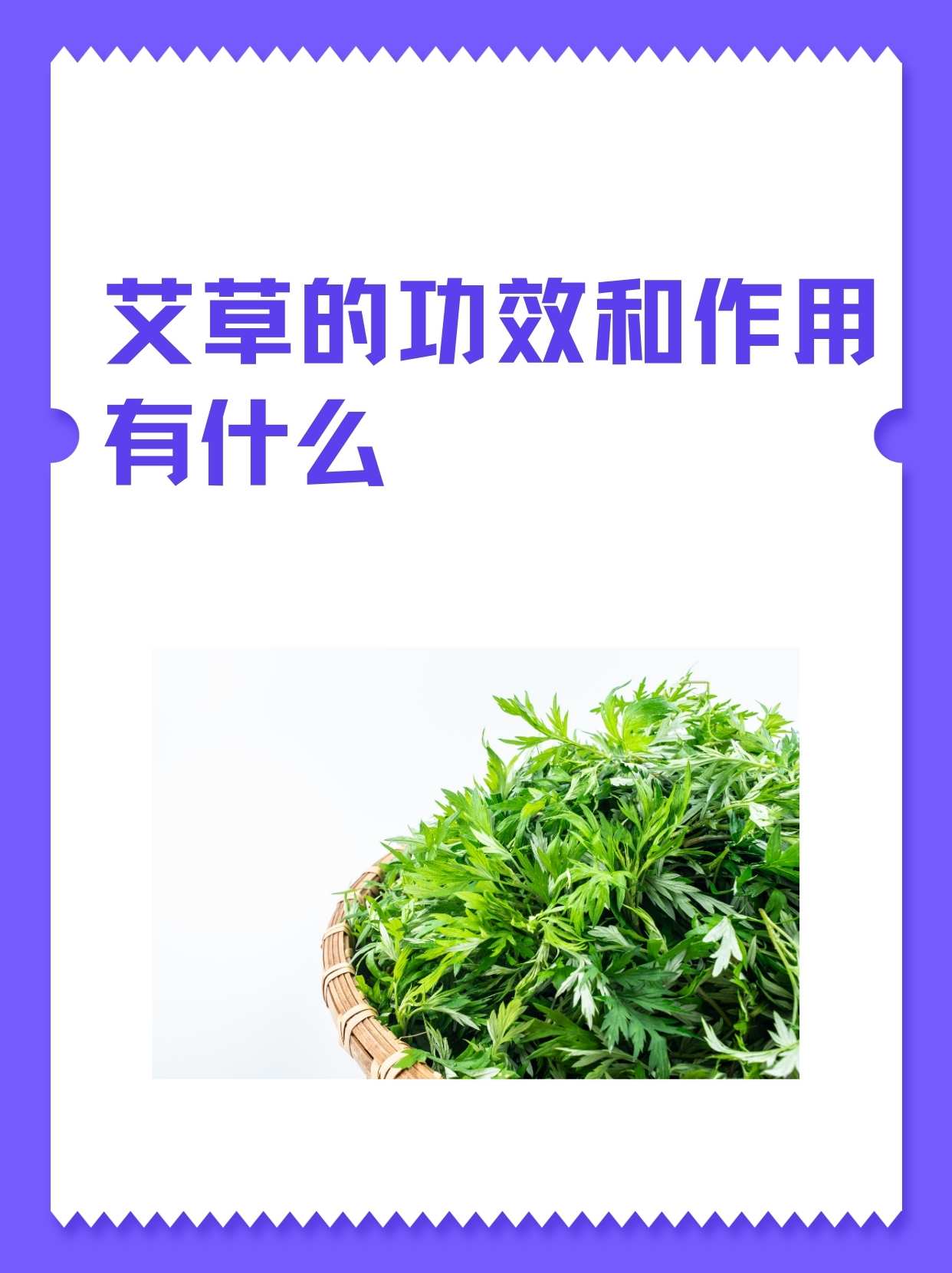 艾草的功效和作用有什么