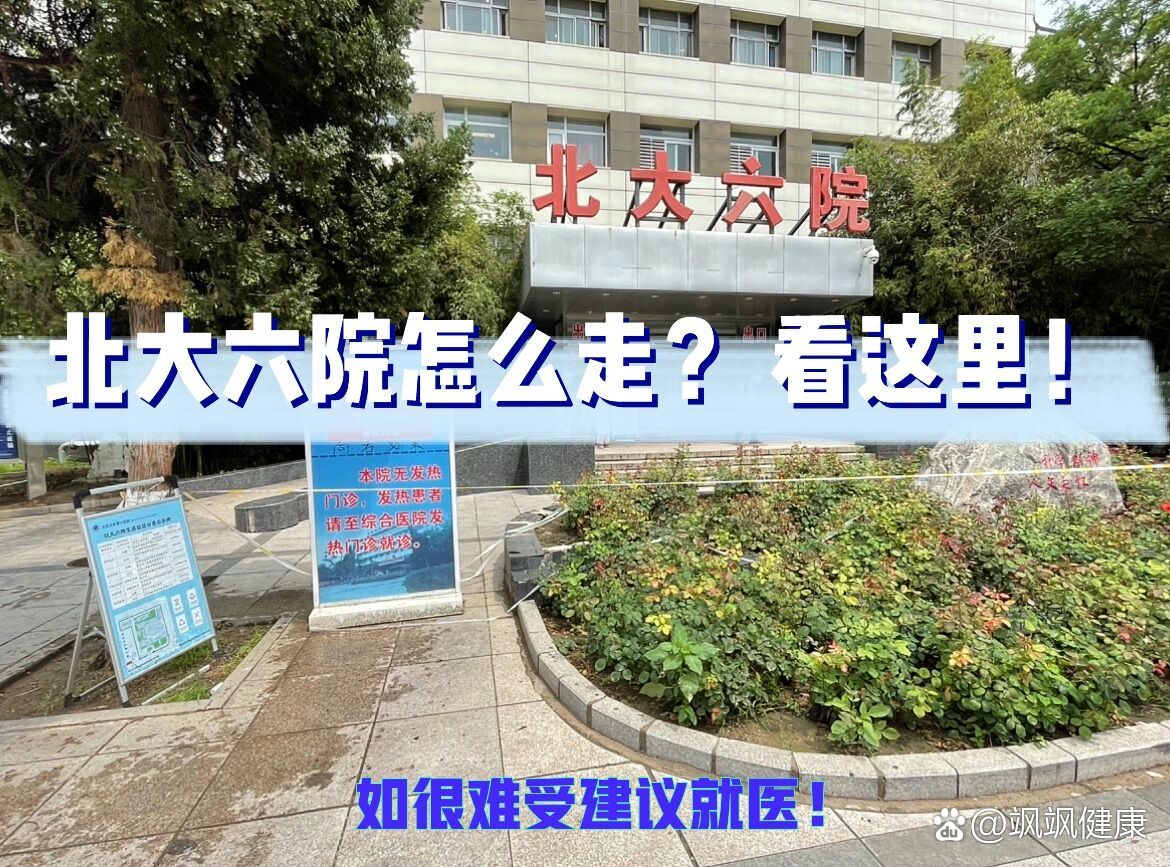 北京大学第六医院logo图片