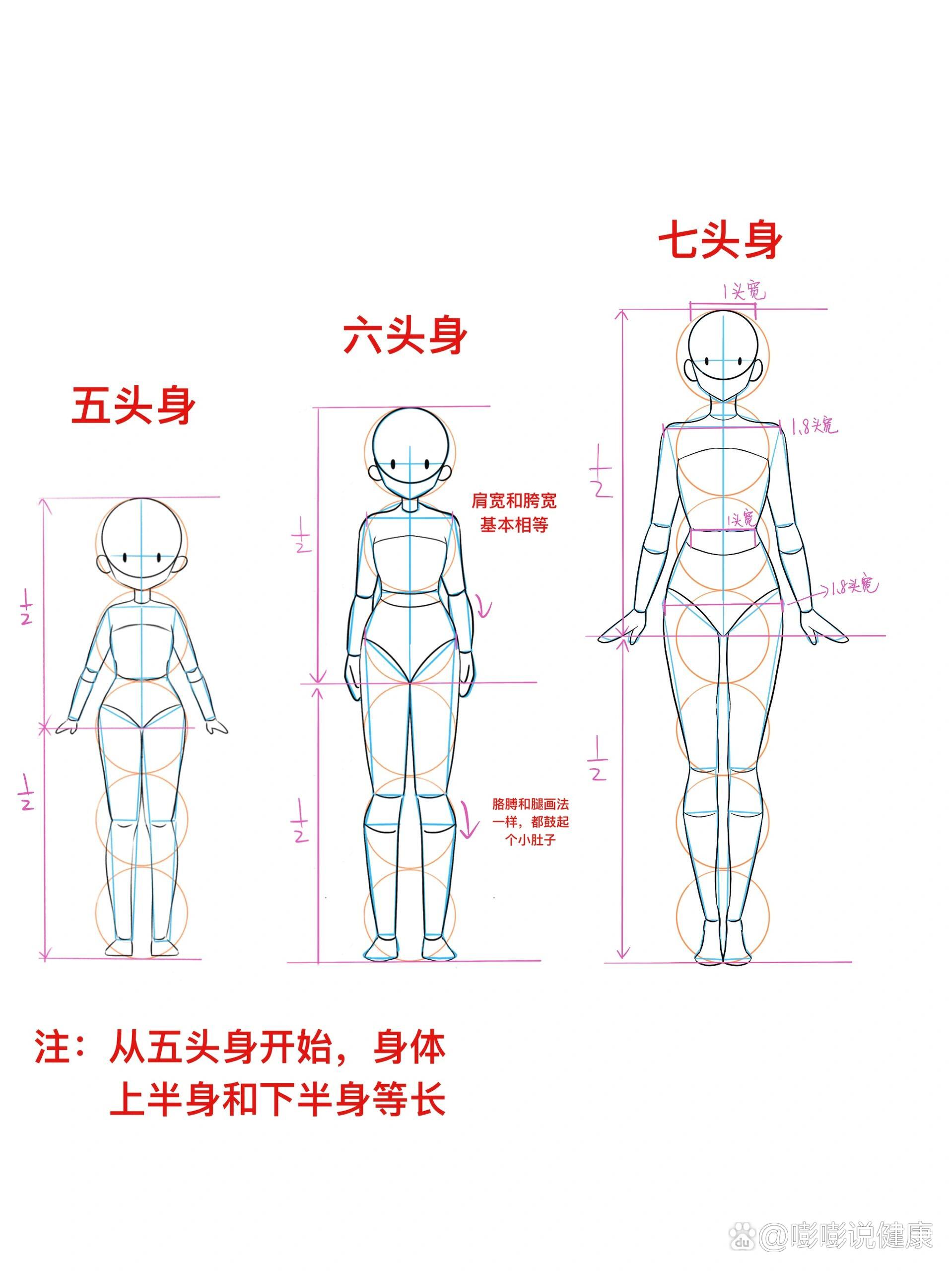 5头身,6头身,7头身动漫比例结构(二)