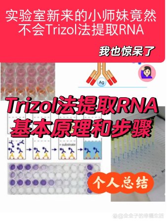 Trizol法提取RNA的基本原理和步骤