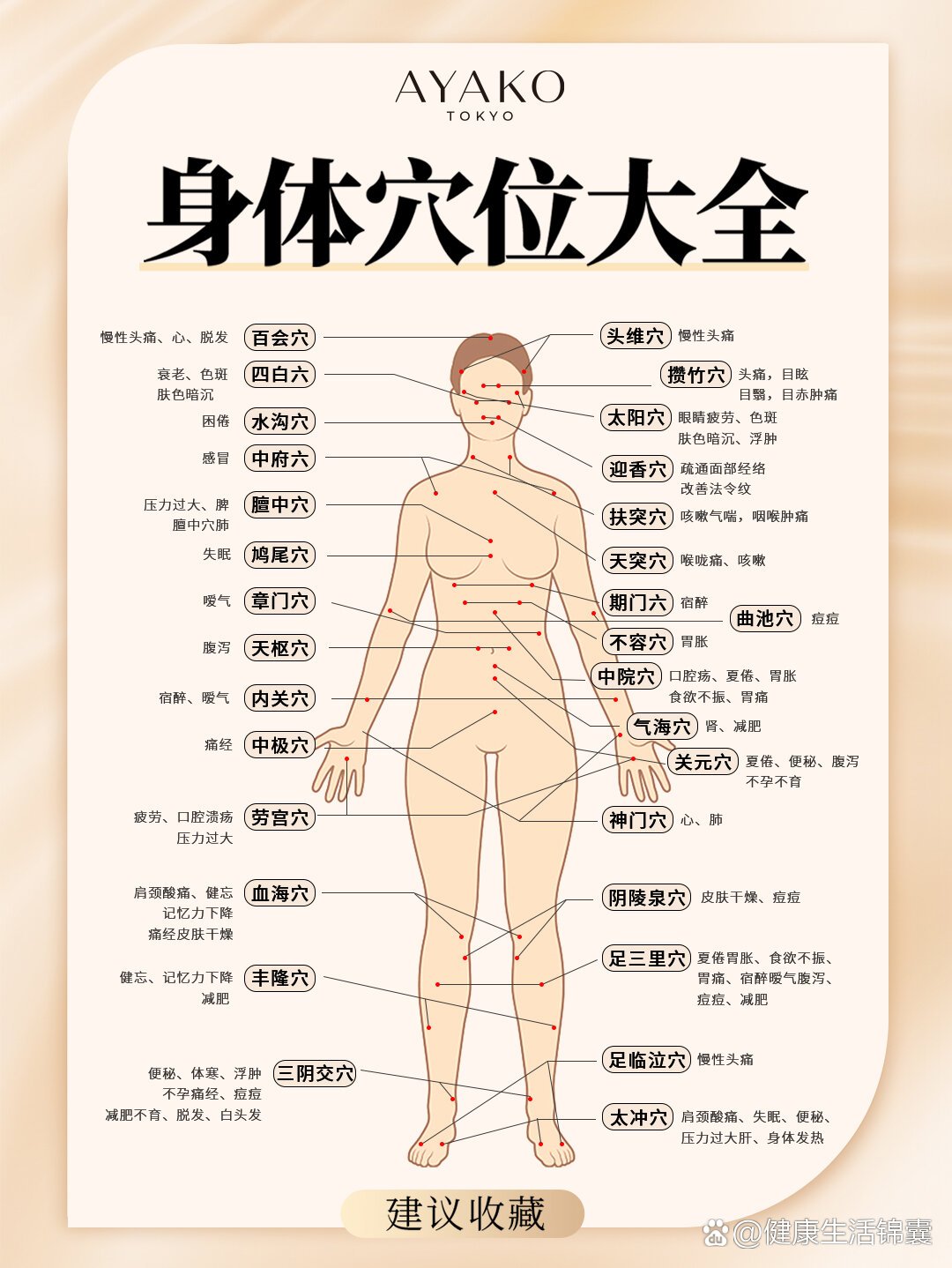 优秀美容师必会