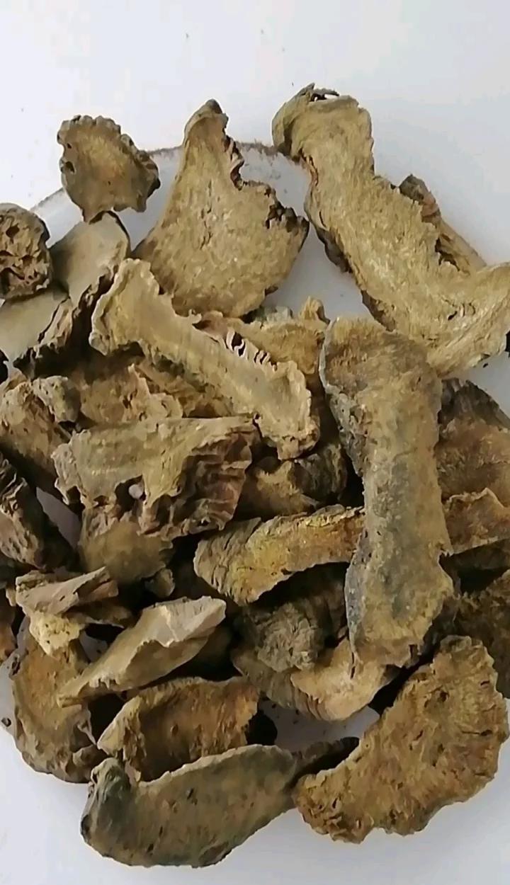 大黄：神奇的中药宝藏
