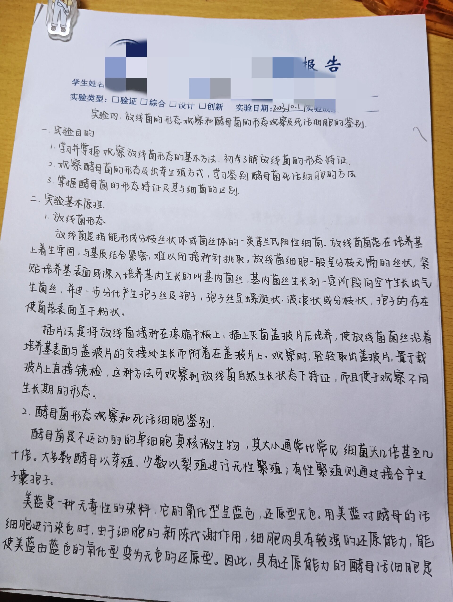 实验报告留档(2)-放线菌和酵母细胞形态观察