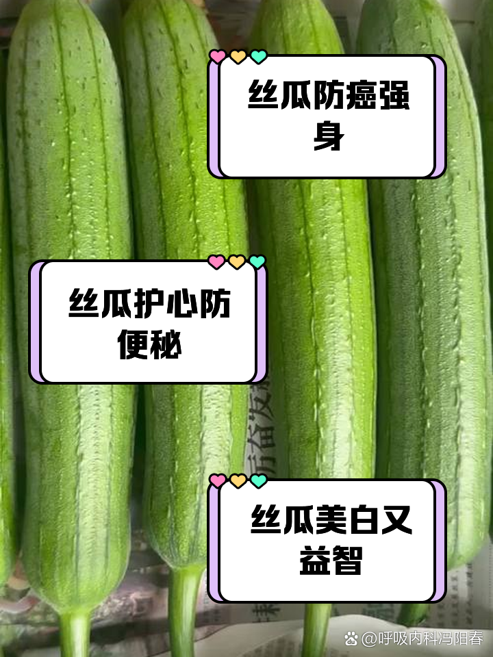 丝瓜的功效与作用禁忌