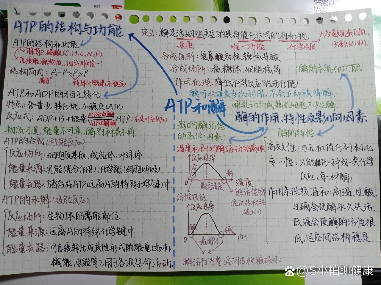 生物atp和酶思维导图