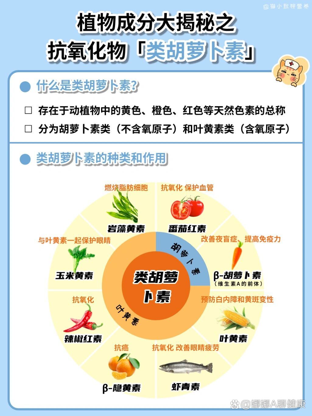 抗氧化,护眼,抗癌的植物成分「类胡萝卜素」