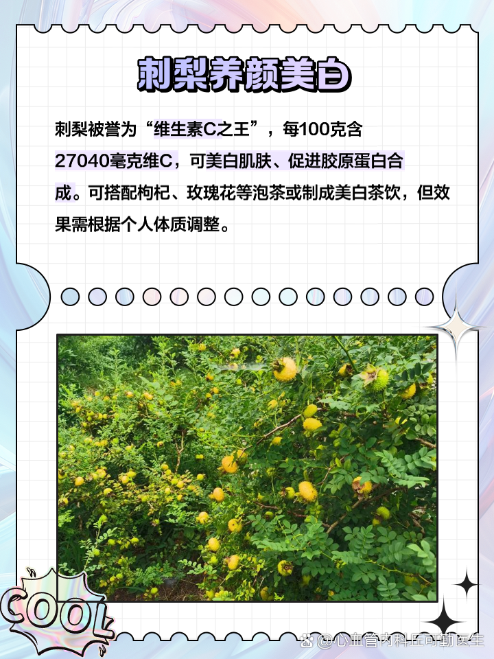刺梨的八大功效与作用禁忌