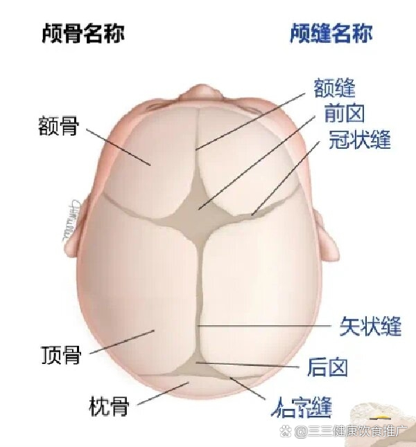 好多妈妈咨询颅缝早闭头型症状顺便科普一下