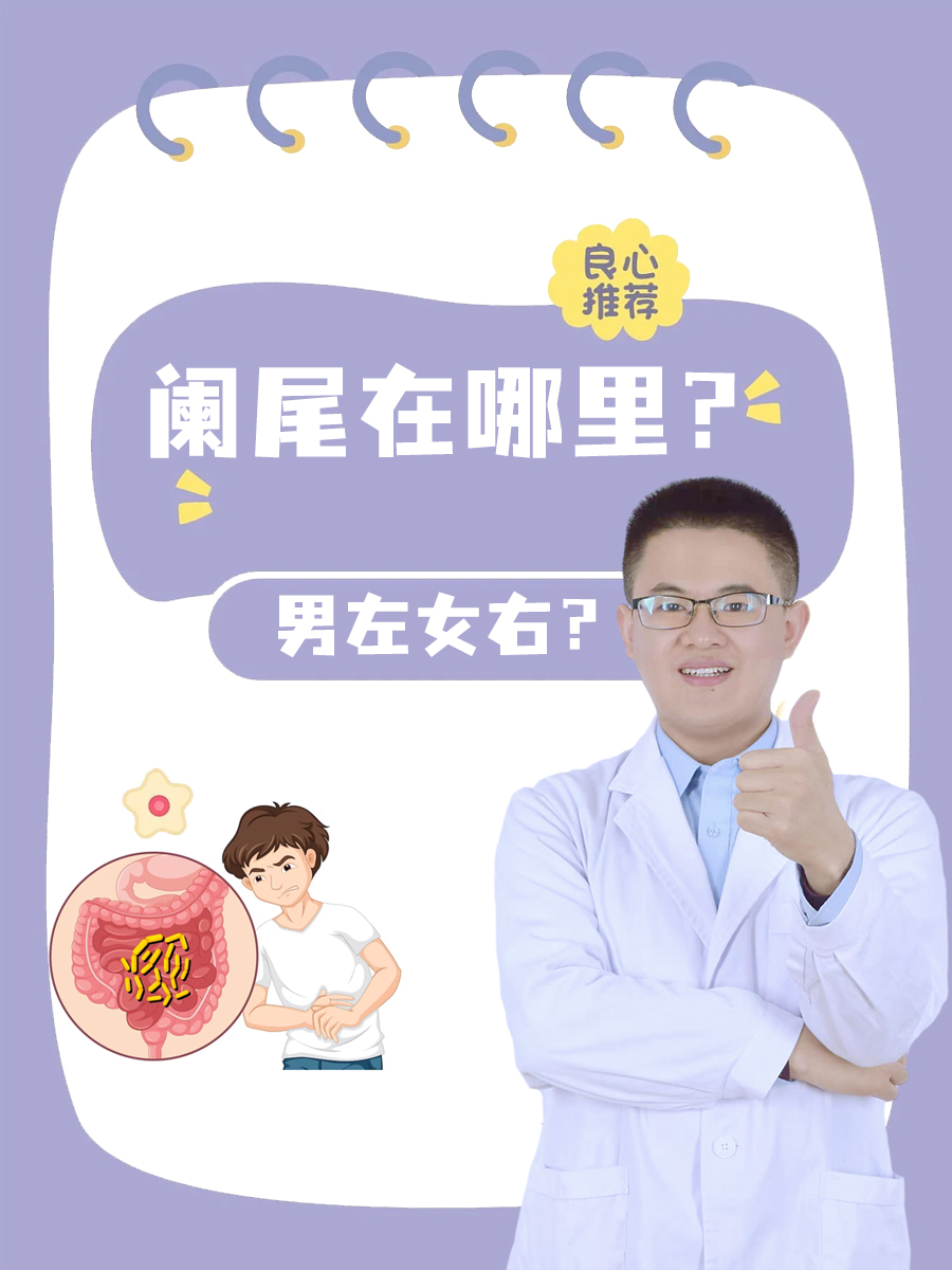 阑尾在哪里?男左女右?
