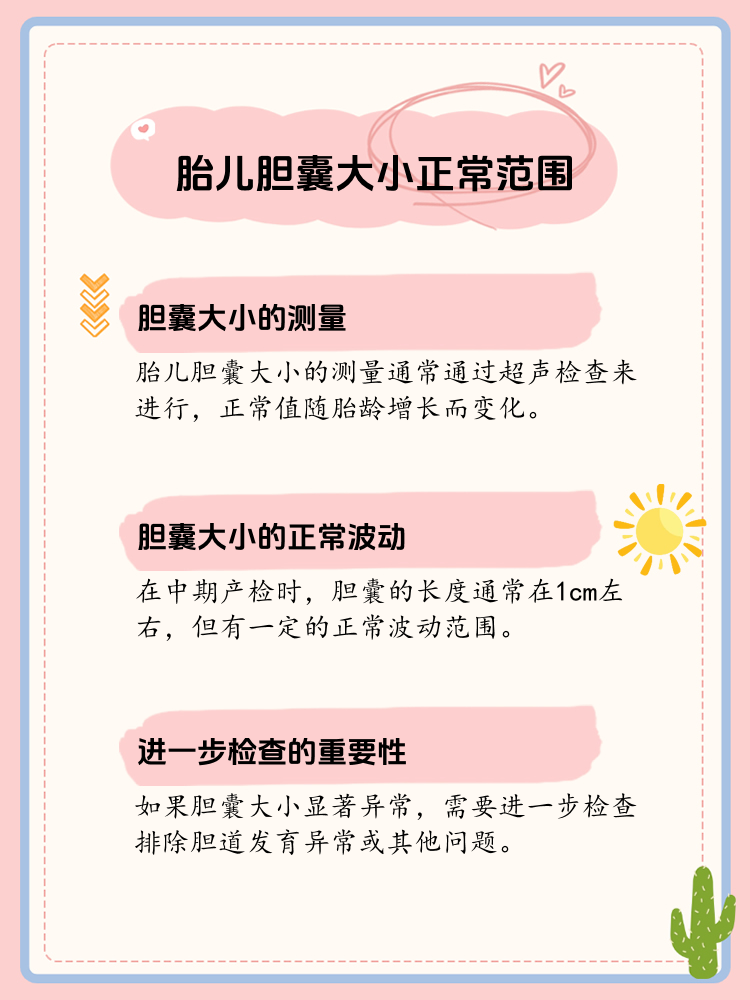 胎儿胆囊大小:了解正常范围