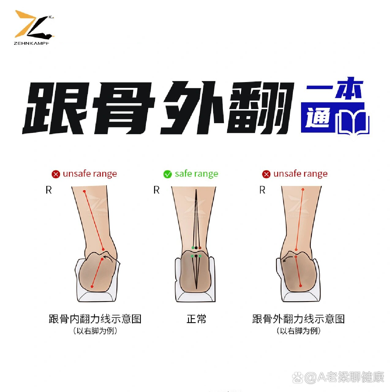 跟骨在哪个位置图片图片