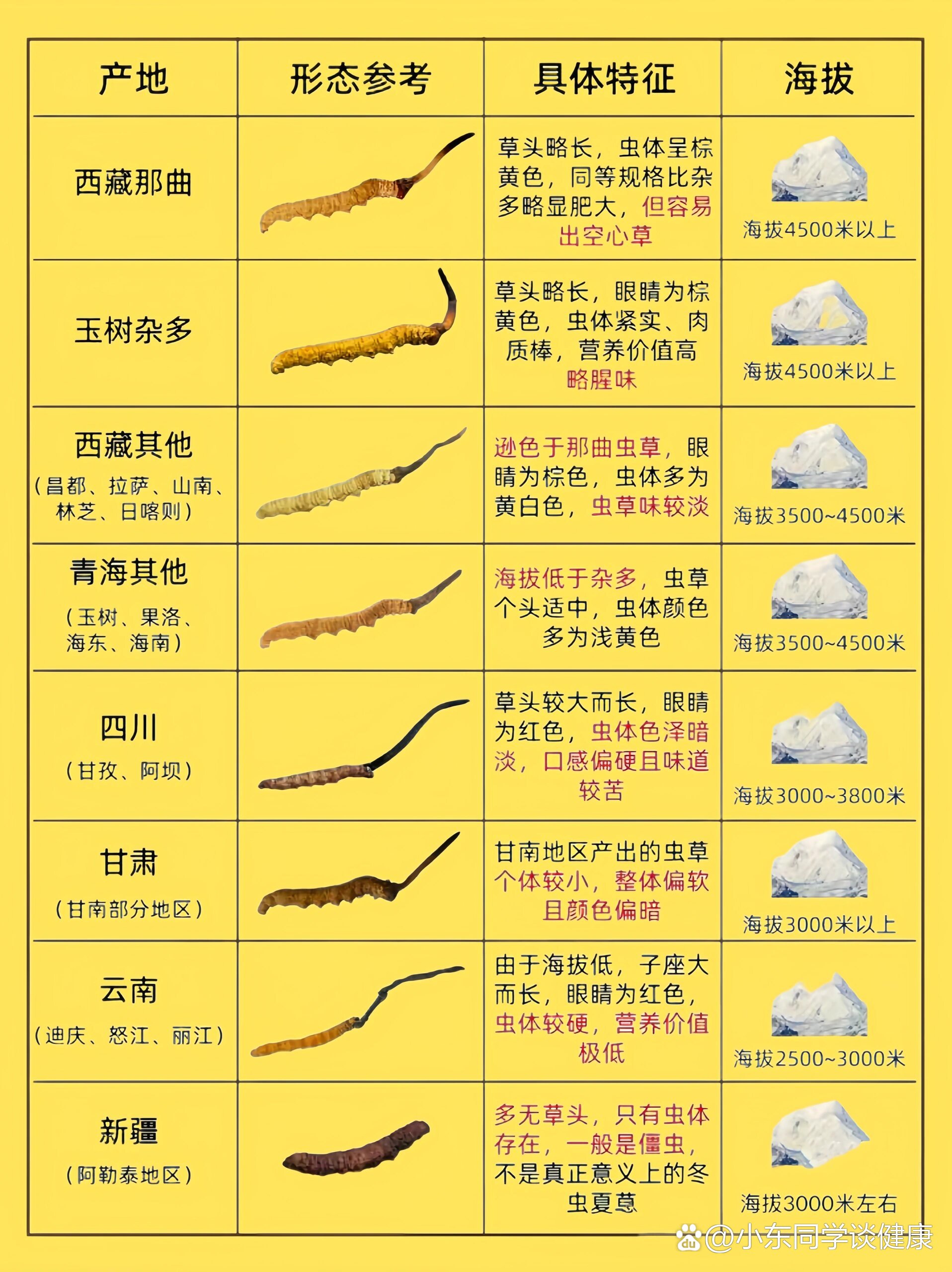 买虫草一图秒懂73各产地冬虫夏草怎么选6015