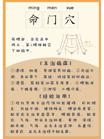 ⭕每日穴位之『命门穴』