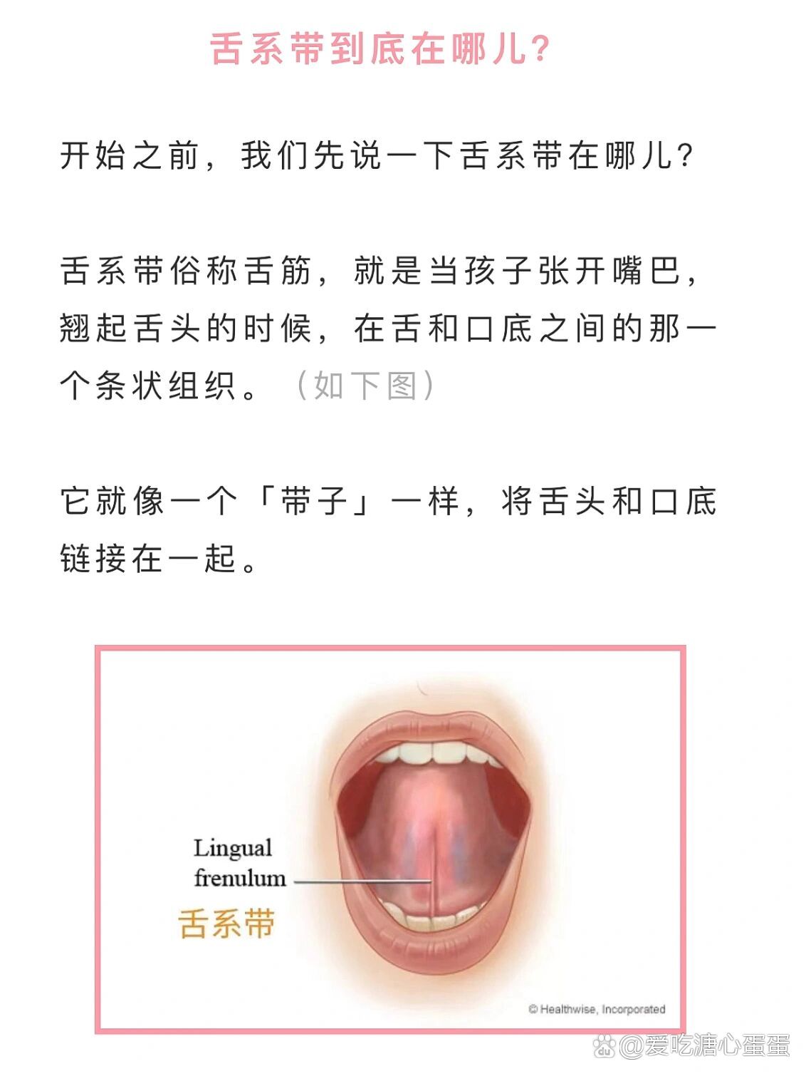舌系带短 全网资源
