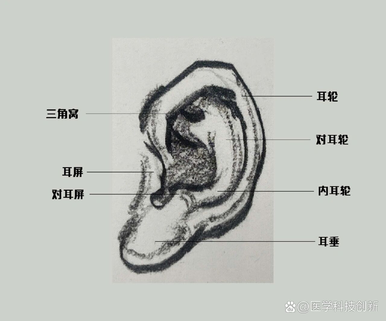 【联考速写】-耳朵局部【干货教学】