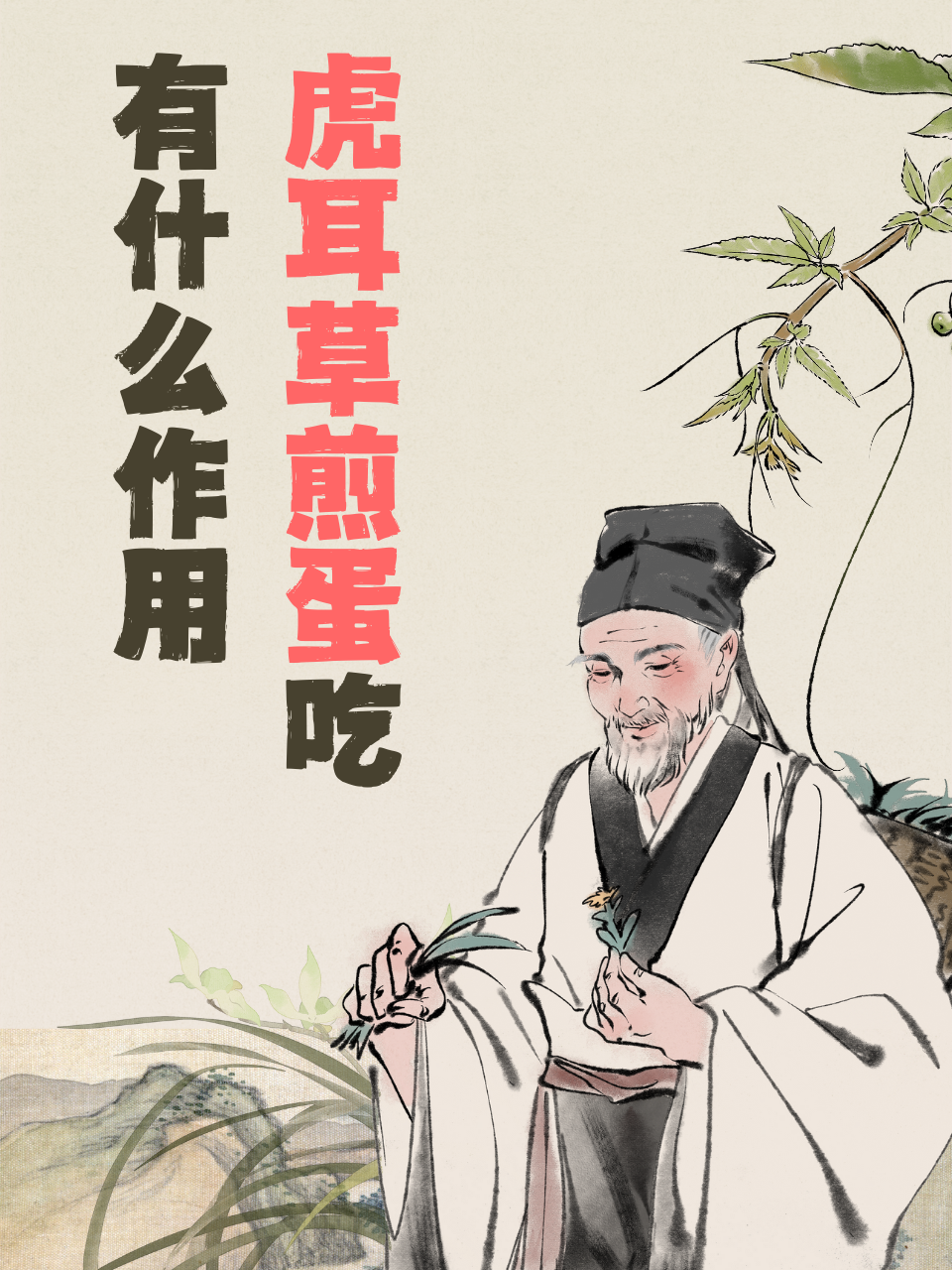 虎耳草煎蛋吃有什么作用