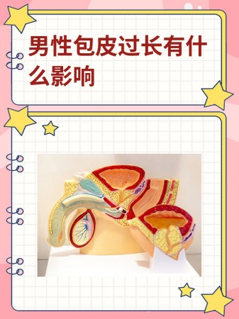 男性包皮过长有什么影响