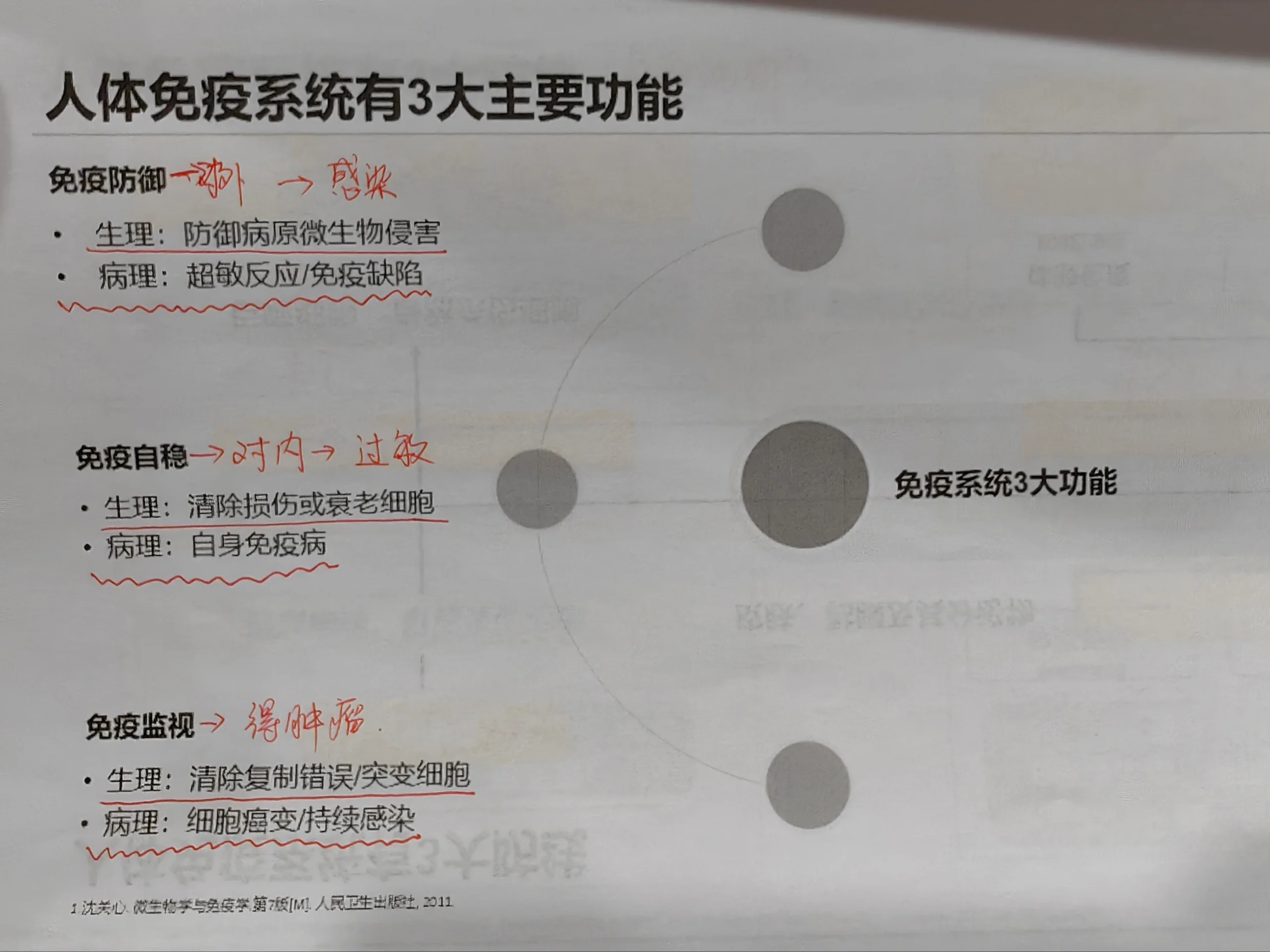 高二生物人体免疫调节知识点(高二生物人体免疫调节知识点归纳)