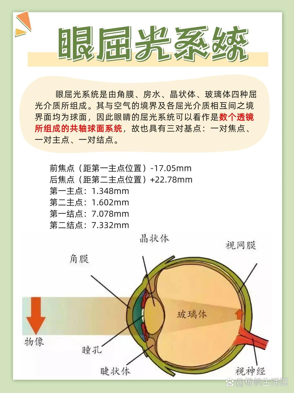 眼睛房水位置图片图片