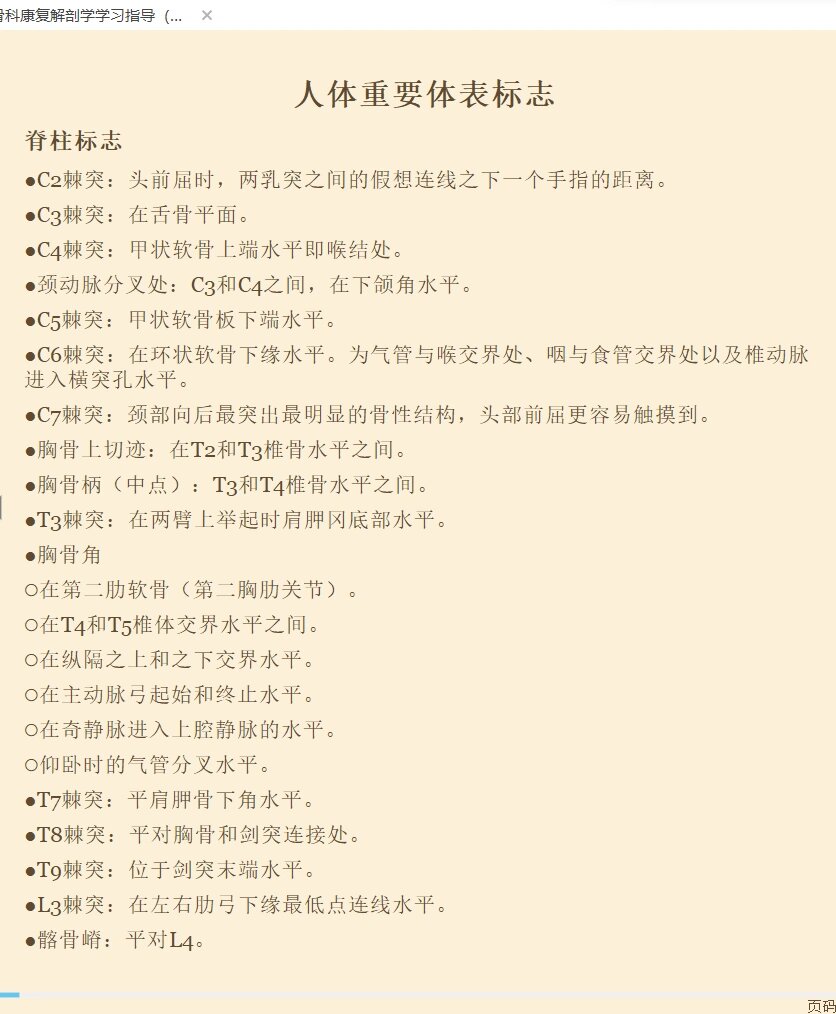 体表标记图片