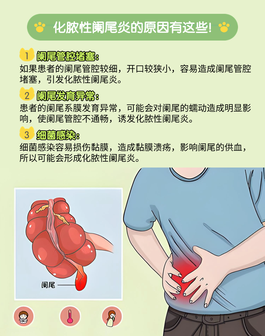 为什么会得阑尾炎图片