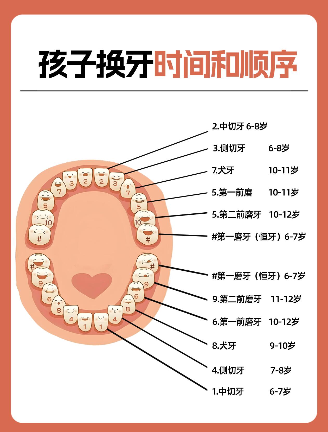 贝齿是指女生哪个部位图片