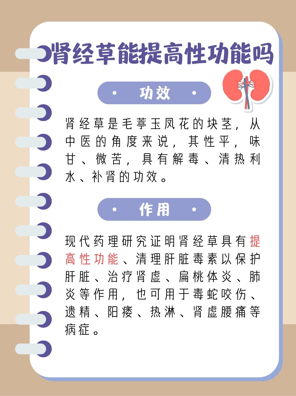 肾经草能提高性功能吗