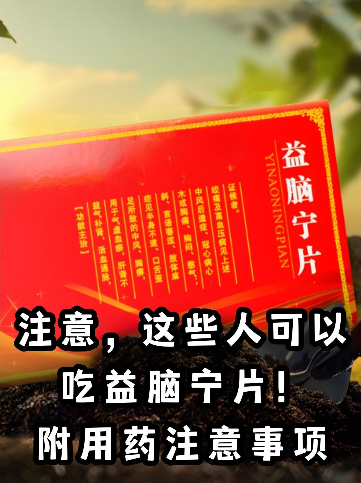 注意,这些人可以吃益脑宁片!附用药注意事项