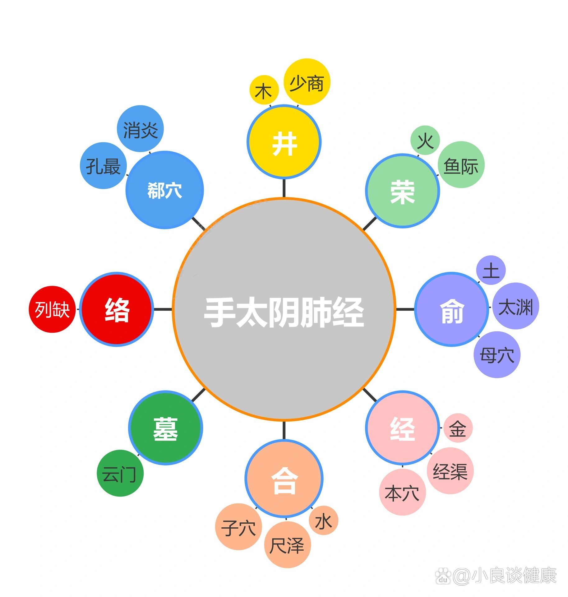 手太阴肺经示意图图片