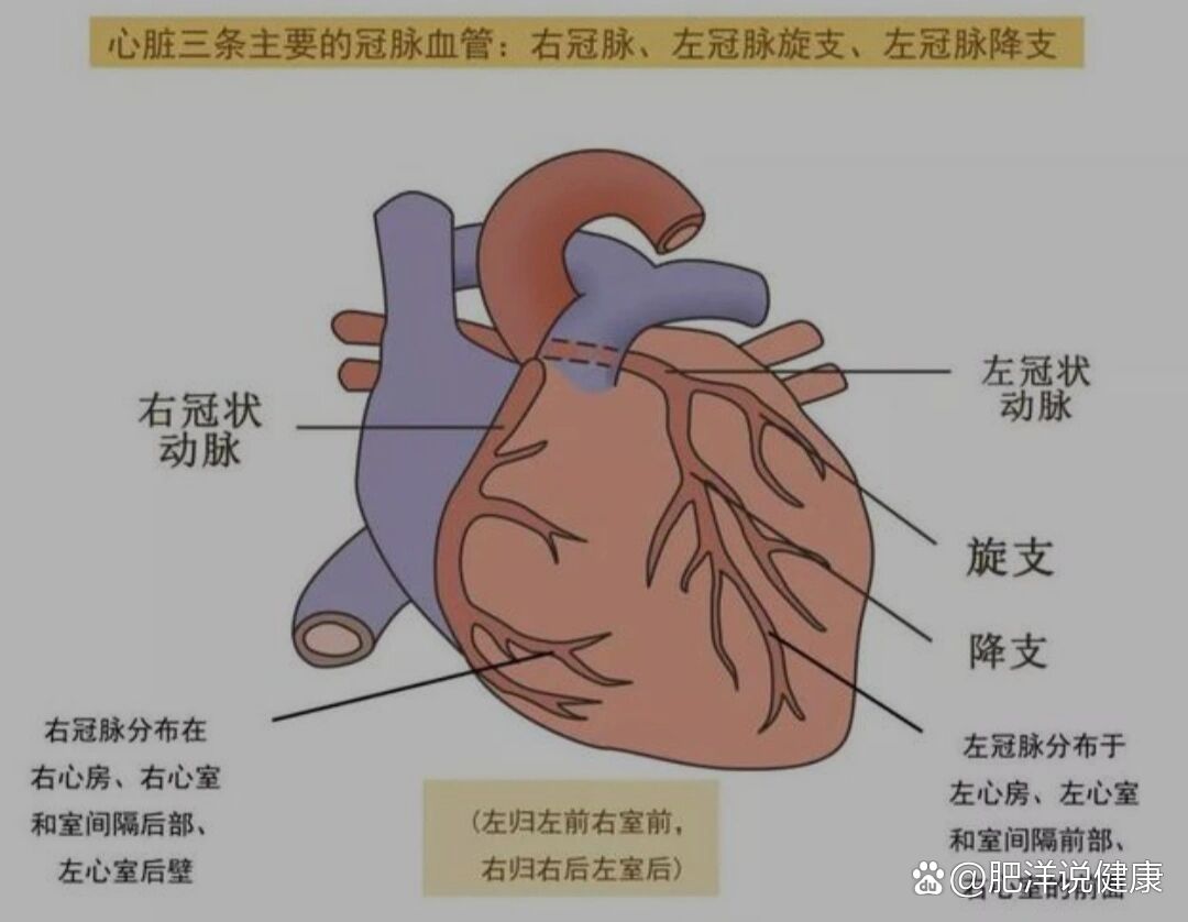 冠状位+矢状位+轴位图图片