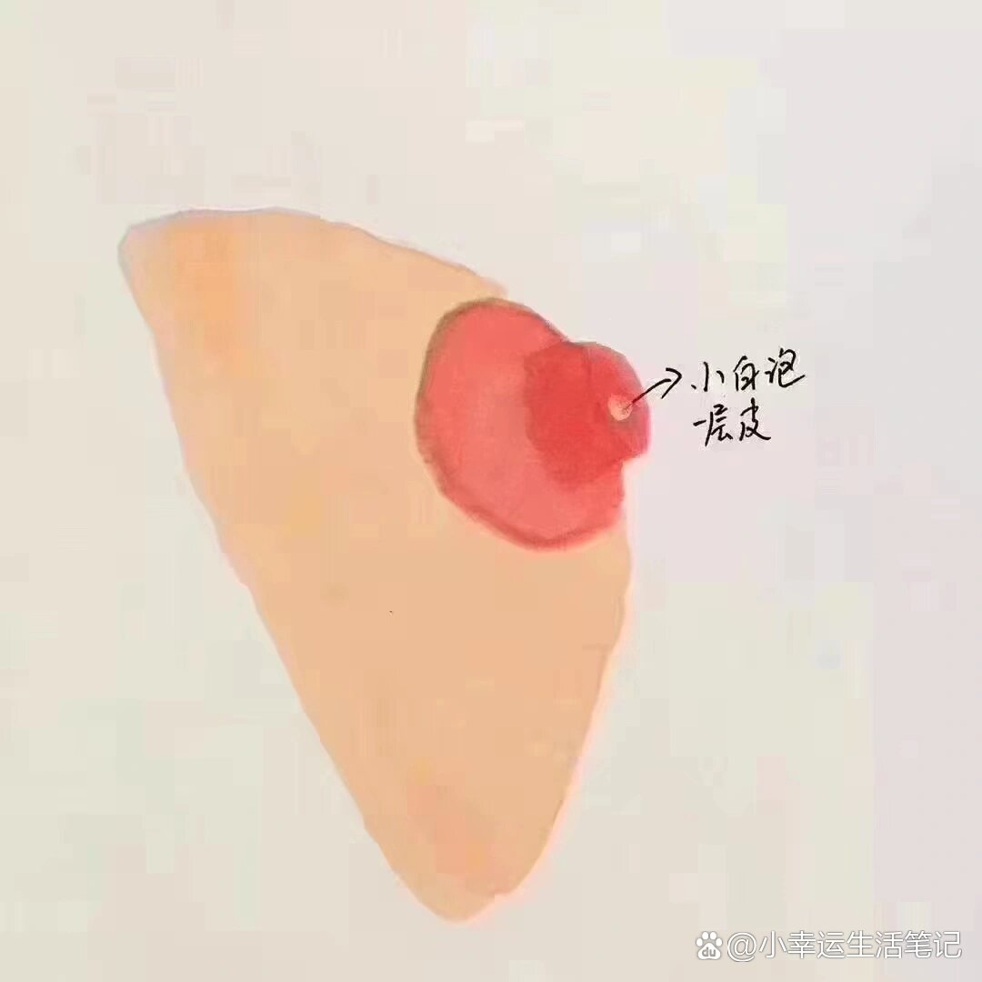 乳头是什么真实白色图片