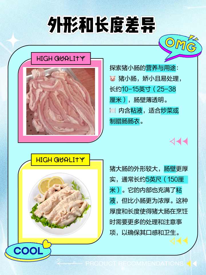 性感猪大肠  猪小肠和猪大肠的区别