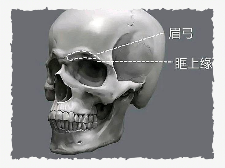 眉弓高的人为什么颜值高？