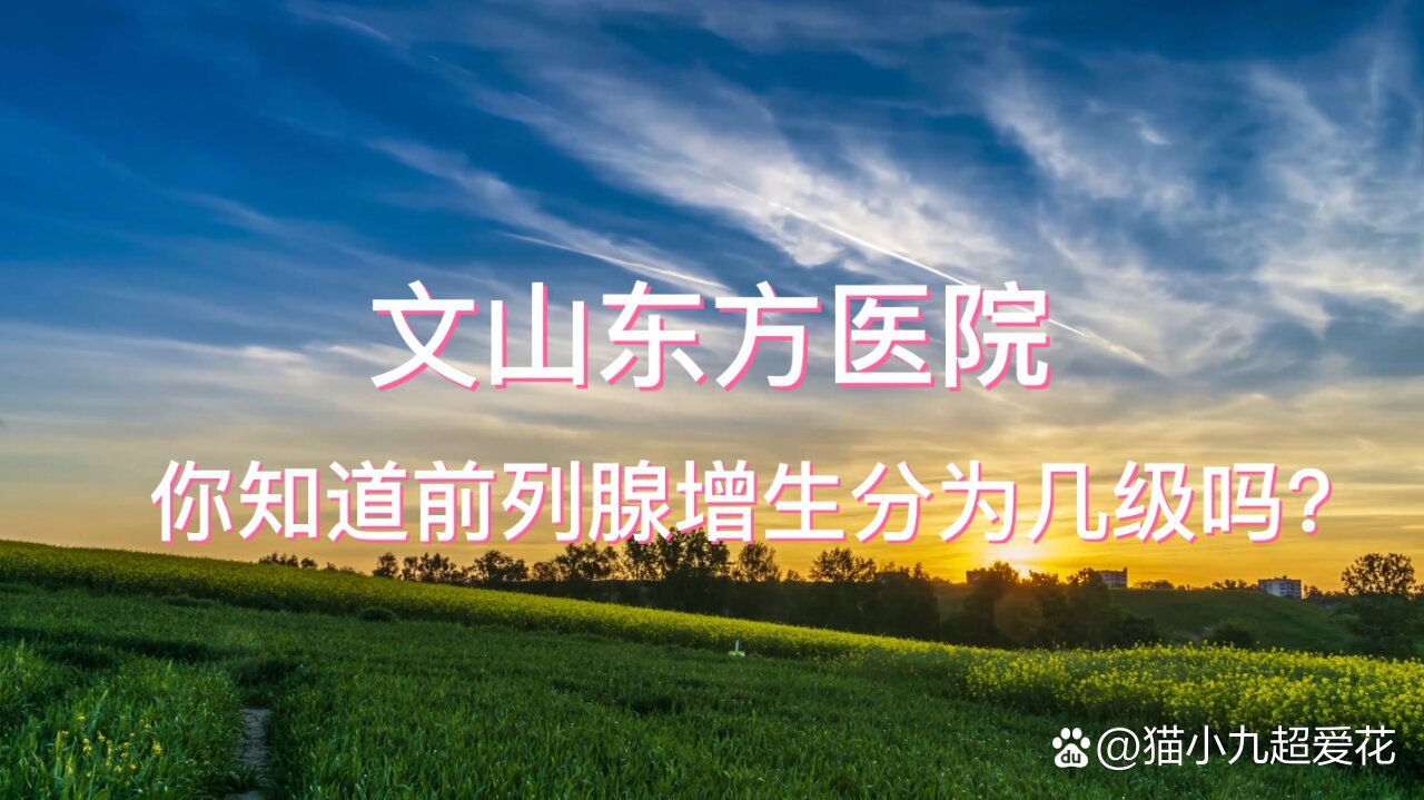 关于东方医院代取报告代挂号解决您的疑难问题的信息 关于东方医院代取报告代挂号解决您的疑难问题的信息