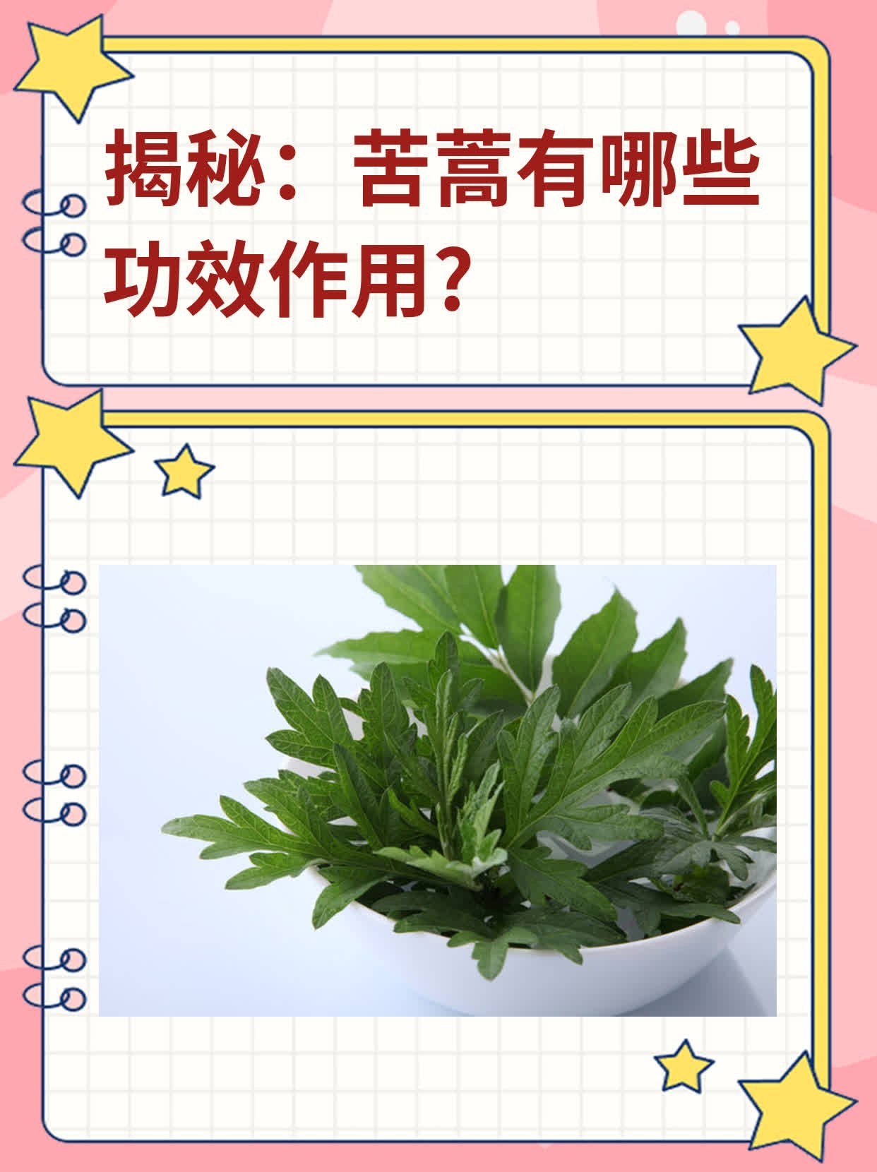 揭秘:苦蒿有哪些功效作用