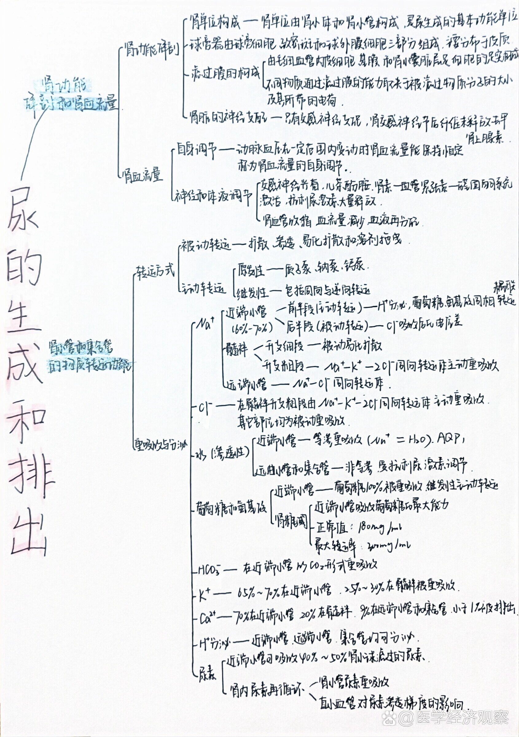 泌尿系统思维导图七下图片