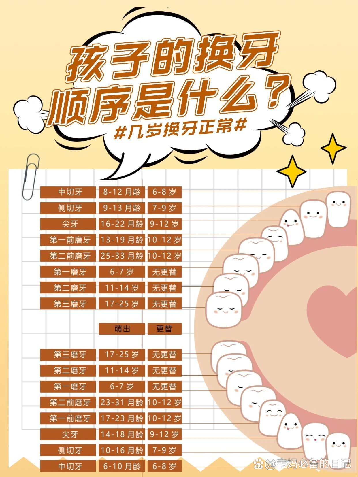 长牙顺序图28颗图片