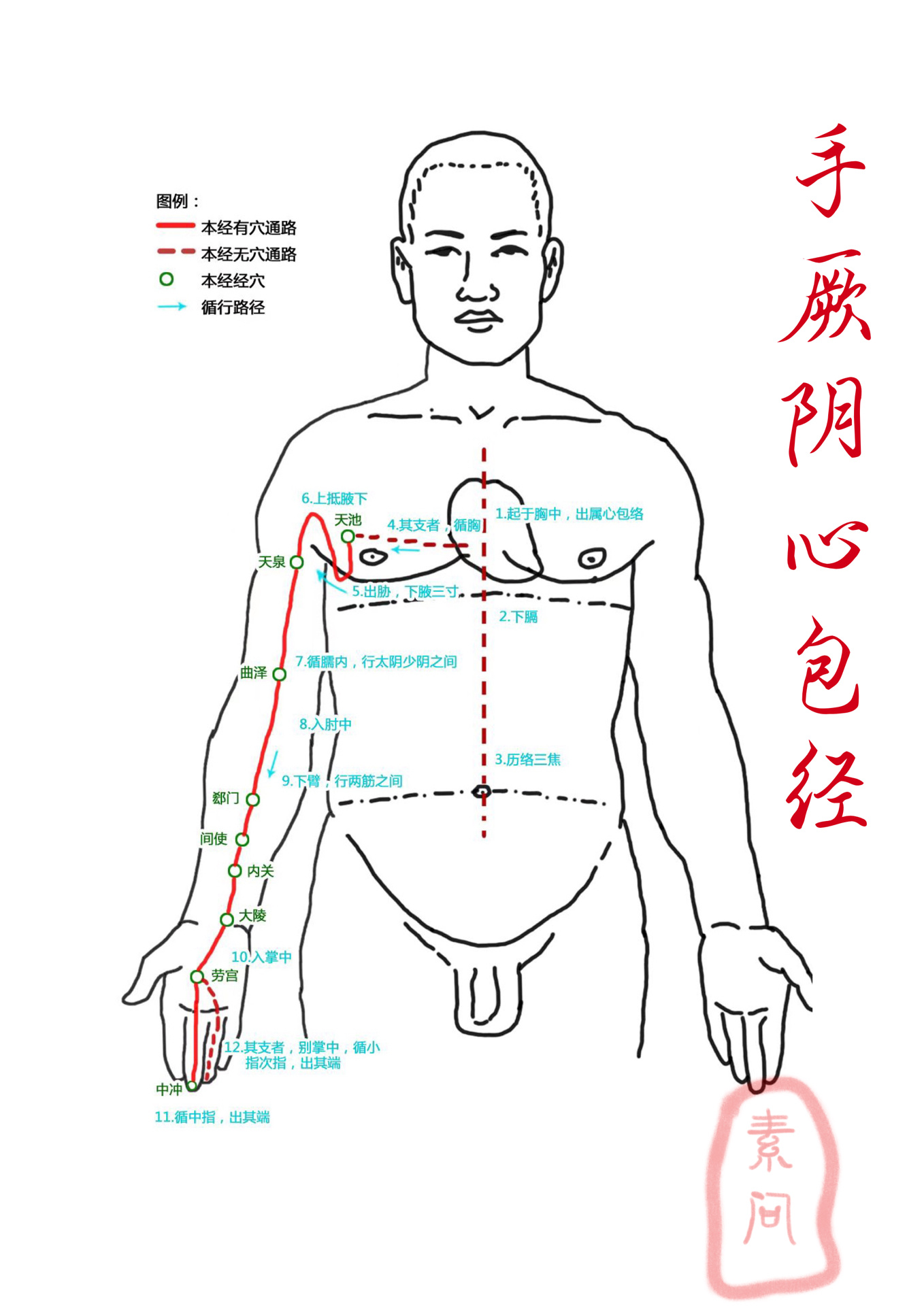 手臂六条经络走向图