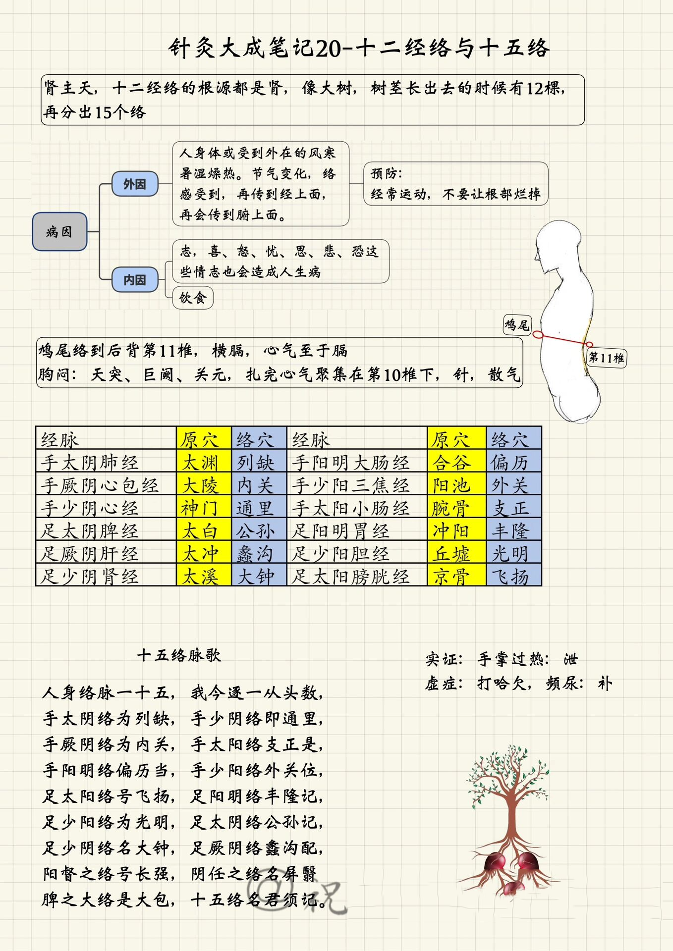 十五络脉示意图图片