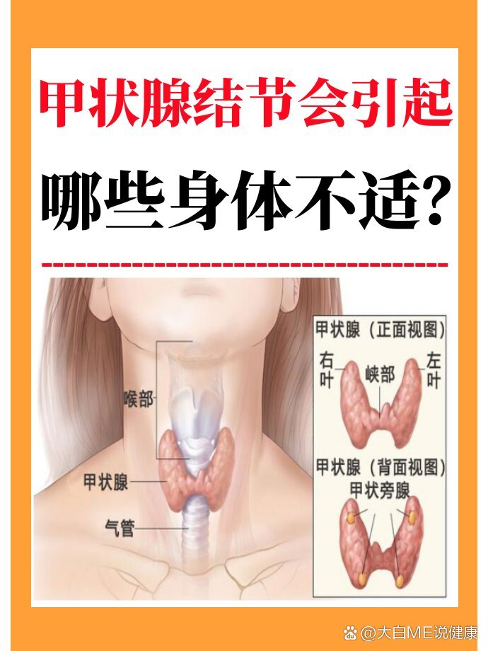 甲状腺是什么位置图片