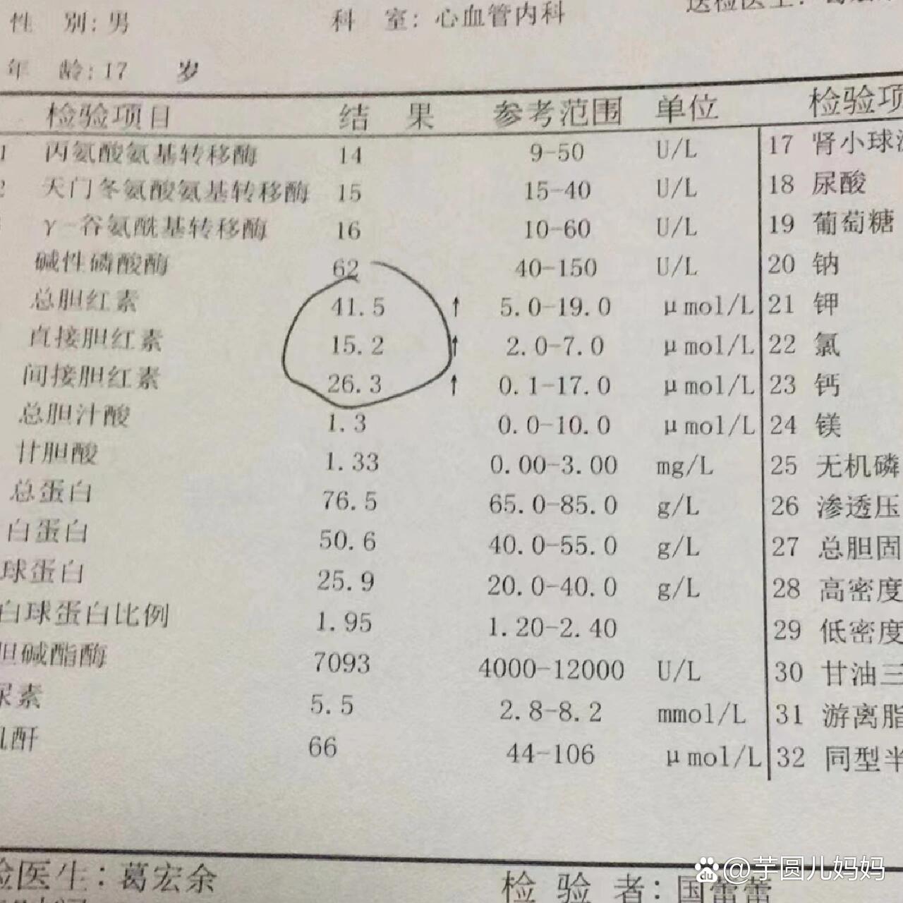 吉因加检测报告图片