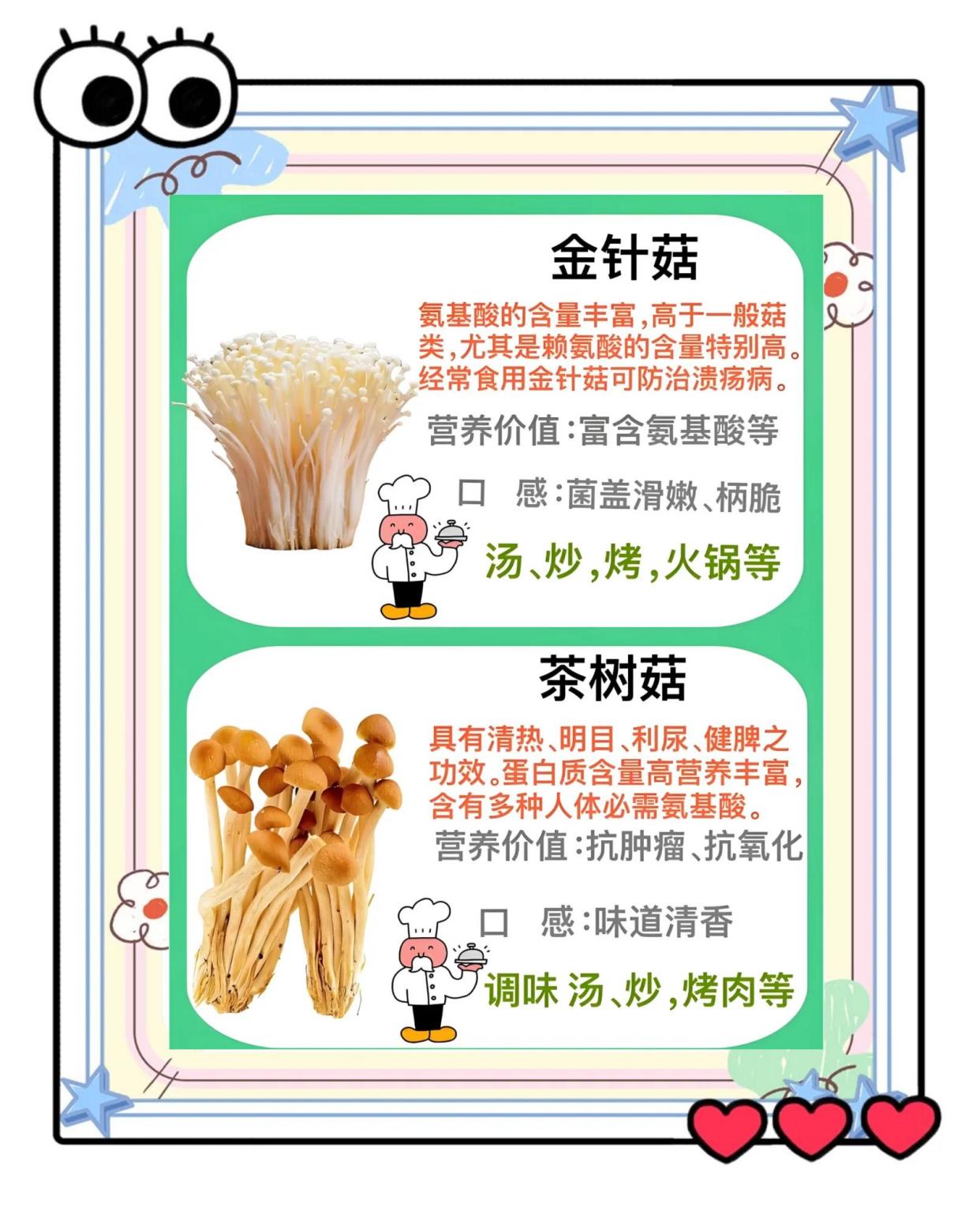25种常见菌菇大比拼：营养与烹饪全解析