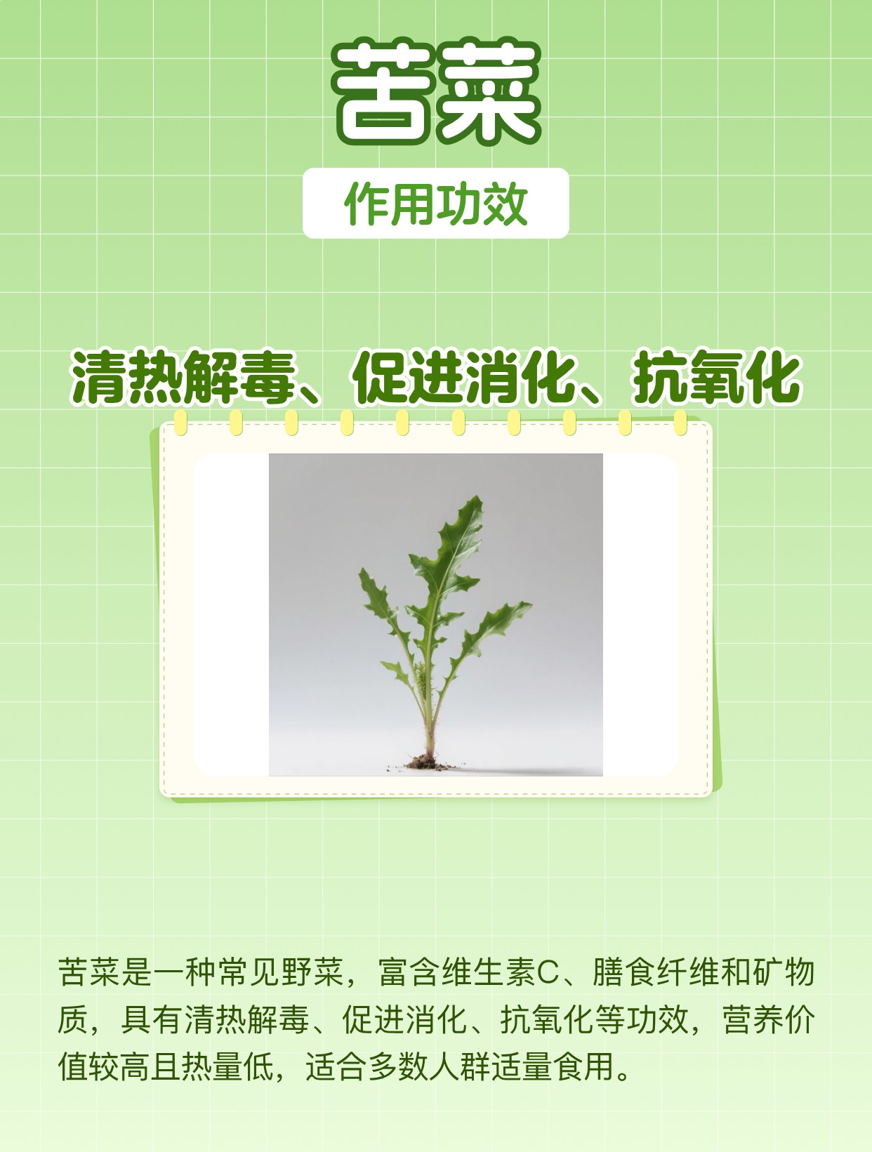 苦菜的功效与作用图片野菜 | 百度健康·医学科普