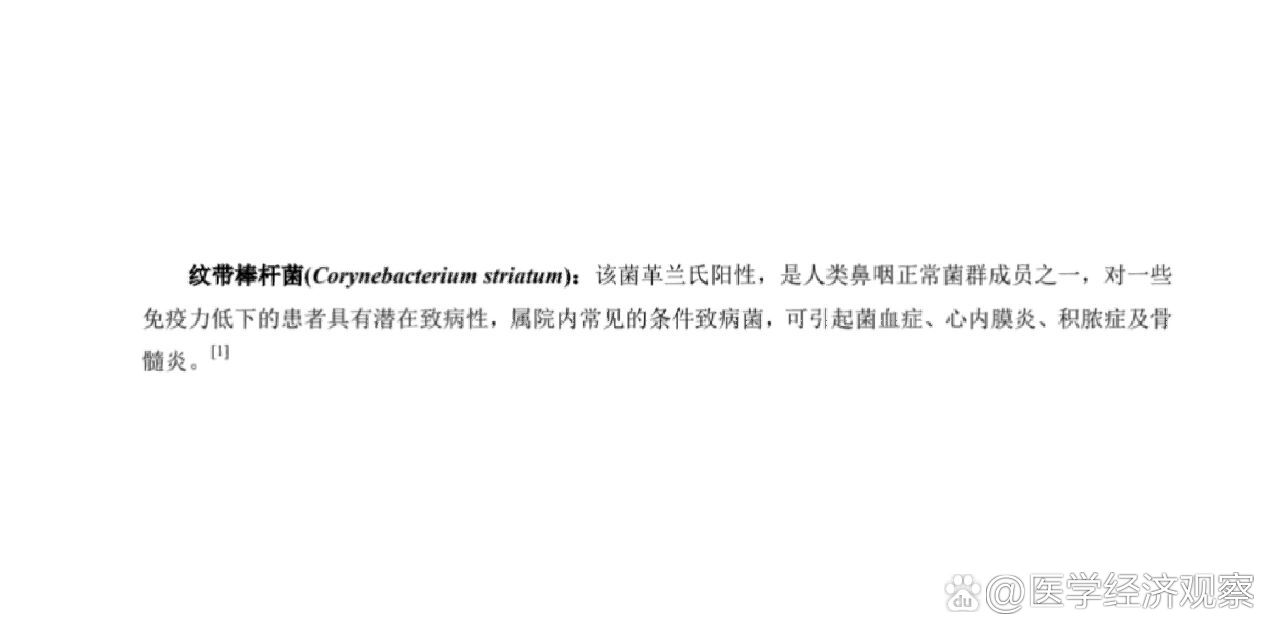 了解纹带棒状杆菌