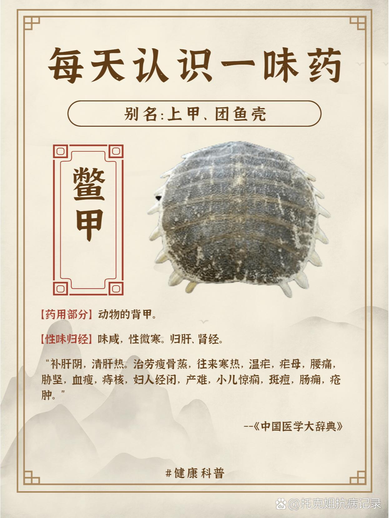 水甲虫功效图片