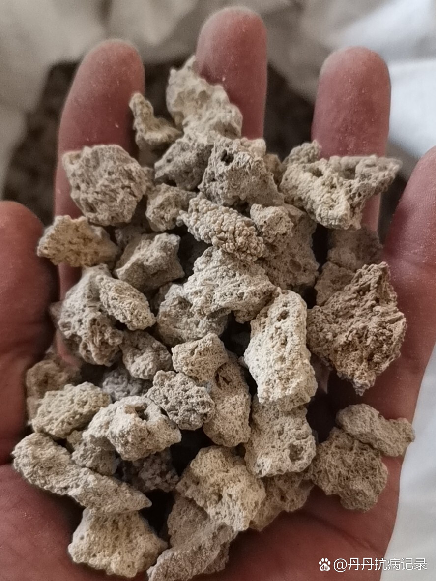 中药小常识:炉甘石