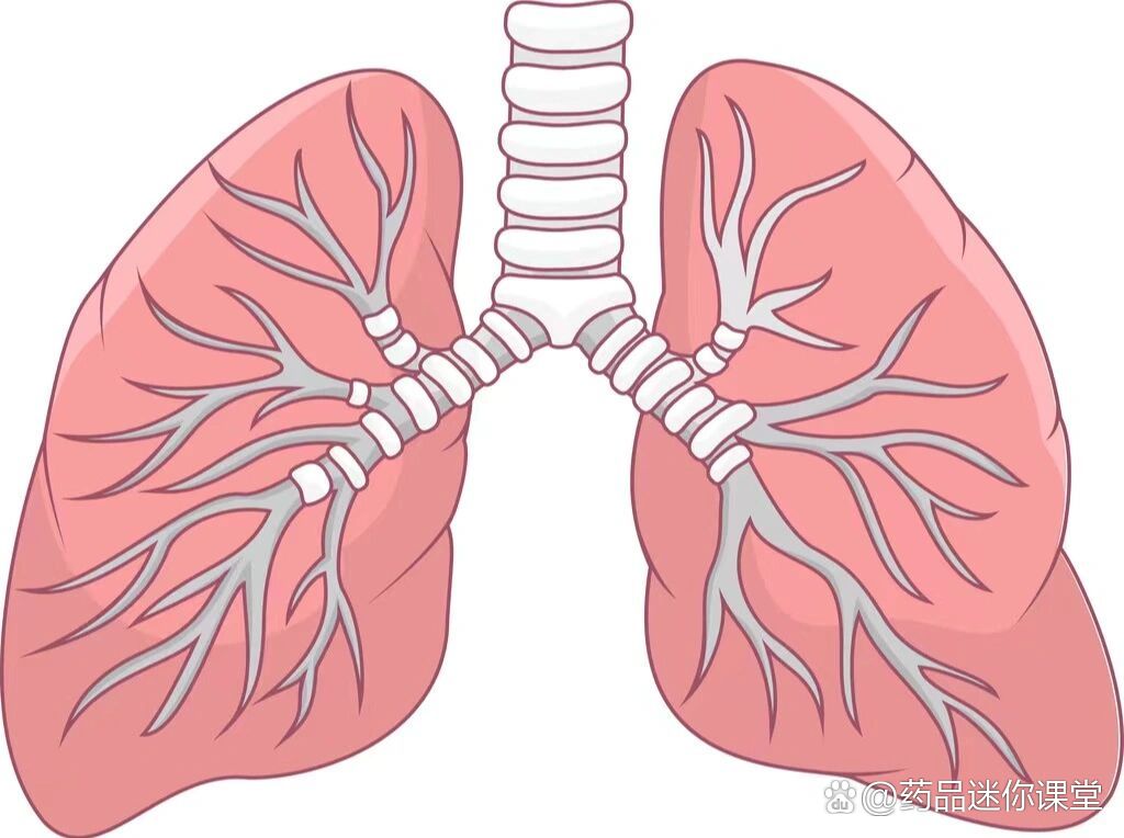 疗效显著ros1肺癌福音 br>洛拉替尼(lorlatinib,又名劳拉替尼),是一种