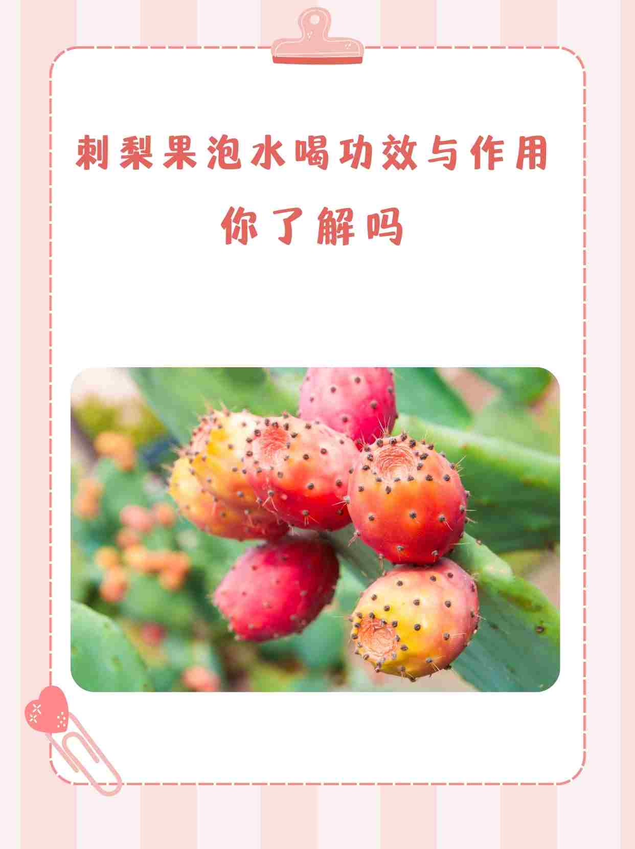 刺梨果泡水喝的功效与作用你了解吗?