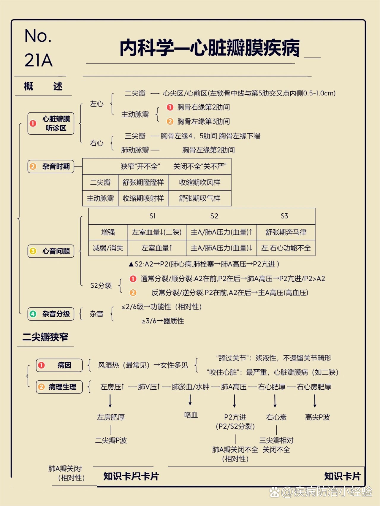 心脏瓣膜病表格图片